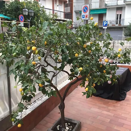 Casa Nonna Angela * Alassio